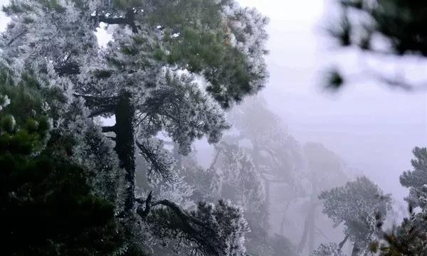 陕西华阴:传统粉条产销旺